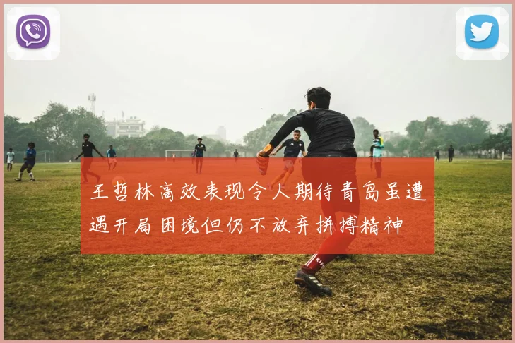 王哲林高效表现令人期待青岛虽遭遇开局困境但仍不放弃拼搏精神
